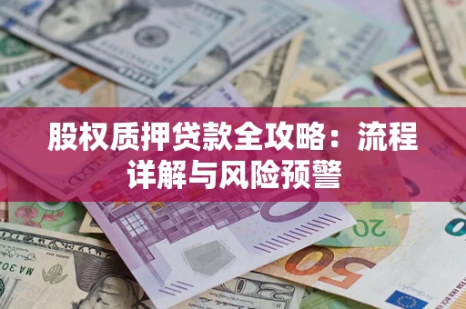 武汉股权质押贷款全攻略：流程详解与风险预警