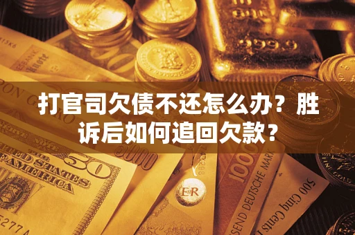 武汉打官司欠债不还怎么办？胜诉后如何追回欠款？