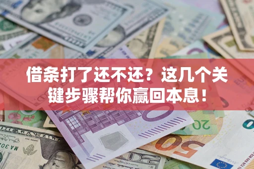 武汉借条打了还不还？这几个关键步骤帮你赢回本息！