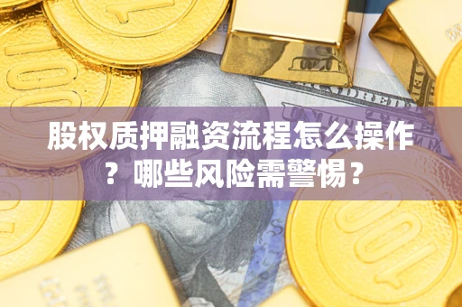 武汉股权质押融资流程怎么操作？哪些风险需警惕？