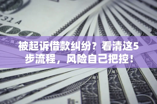 武汉被起诉借款纠纷？看清这5步流程，风险自己把控！