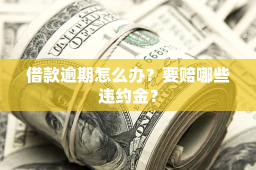 武汉借款逾期怎么办？要赔哪些违约金？