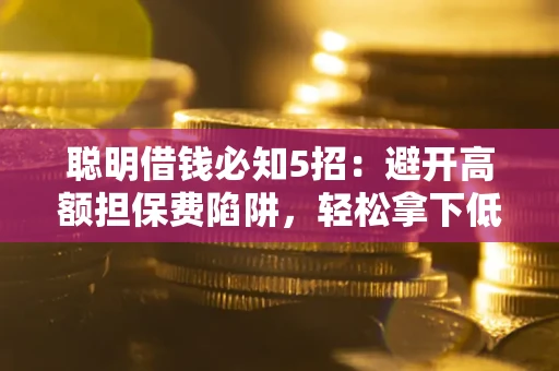 武汉聪明借钱必知5招：避开高额担保费陷阱，轻松拿下低息贷款